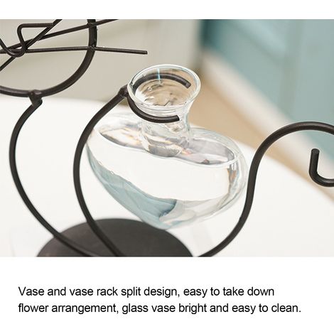 Einfache Vase aus Eisen für hydroponische Blumenarrangements (1/5)