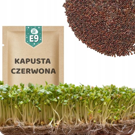 51Seed E09 SEMI DI GERMOGLI - CAVOLO ROSSO 10G