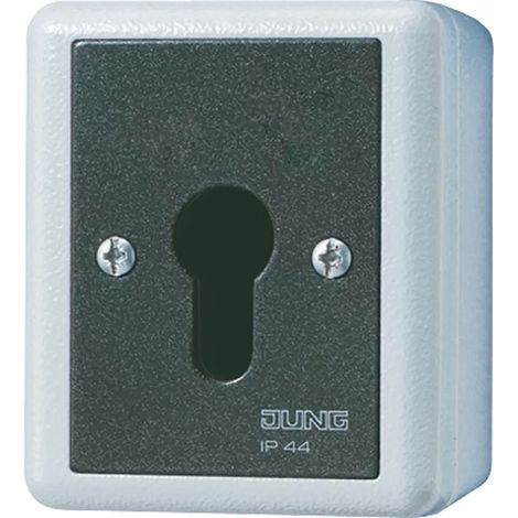 Jung Schlüsselschalter, Gehäuse aus Alu-Druckguss, Taster (Wechsler), 1-pol., IP 44, WG 800 833.18 G (1/2)