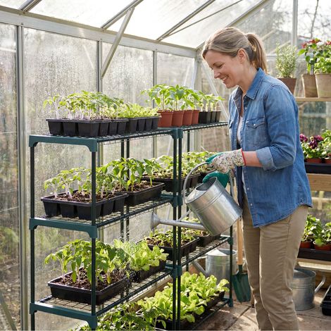 FLITI 4-Tier Garden Greenhouse Shelf, Set of 2 - Sturdy Steel Frame, 90x31x106cm for Indoor and Outdoor Plant Storage (1/5)