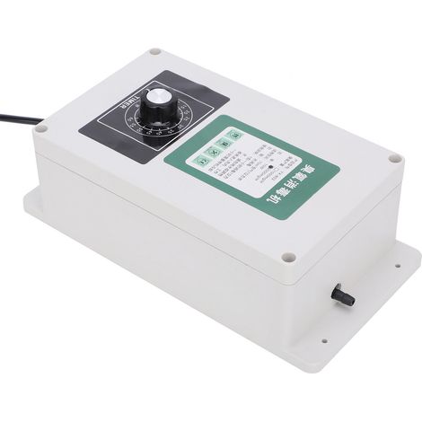 Ozongenerator mit Timer für Haushalt, Auto, Werkstatt, Gewächshaus, Reinigungsgerät, 2000 mg, EU-Stecker, 220 V (1/5)