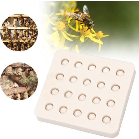 Moule d'élevage de reines d'abeilles en silicone 20 tasses Moule en cire d'abeille pour apiculture Tasse à cellules d'abeilles pour jardin,DUBUNS (1/5)