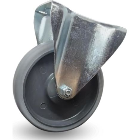 Roues fixes 160 mm 200 kg fppe 1603 Ecoforma (1/5)