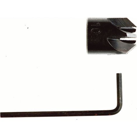 Projahn WS Aufsteckversenker 6 mm