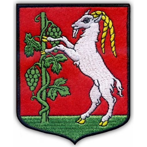 Parche con el escudo de armas de la ciudad de Lublin - Reverso magnético - Parche/Insignia/Emblema bordado