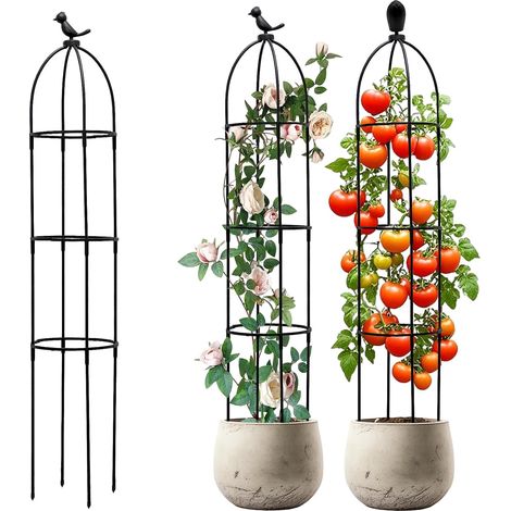 Garden Stake 120 cm Removable Obelisk - Support for Climbing Plants - Trellis Height - Suitable for All Climbing Plants (1/5)