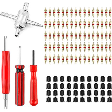 124pcs Tyre Valve Core Extractor Valve Core Valve Cap Repair Kit (1/5)