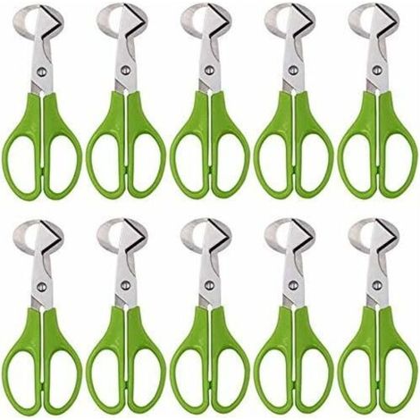 XEPHO Lot de 10 ciseaux à œufs de caille, coupe-œuf en acier inoxydable