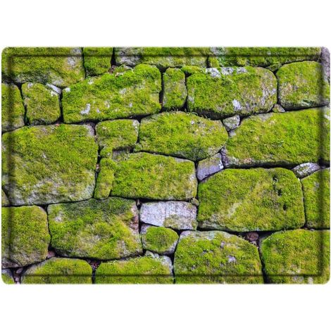 Tapis de porte antidérapant en polyester vert , à séchage rapide et confortable , pour la chambre cu (1/5)