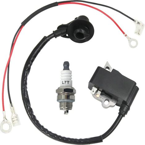 Bobine d'allumage haute tension compatible avec TS410 TS420 4238 400 1301 (1/4)