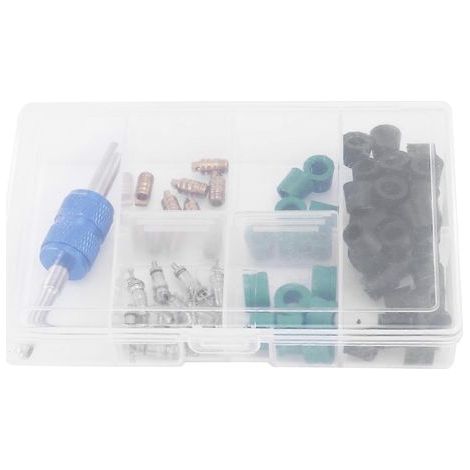 Kit de réparation de 71 noyaux de valve de climatisation R12/R134A (1/5)