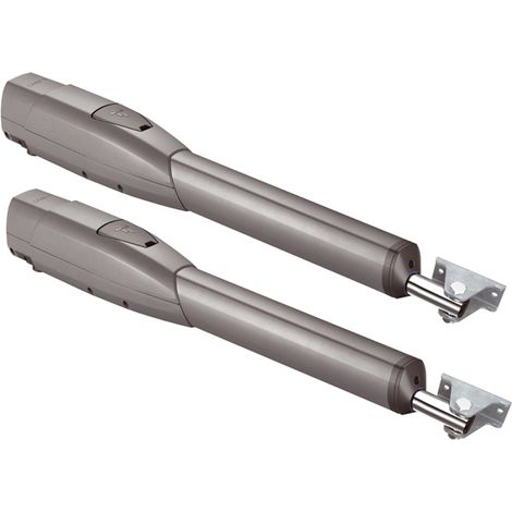 CAME 2 x Motoreducteur pour portail battant ATS 50AGS 230v (1/2)