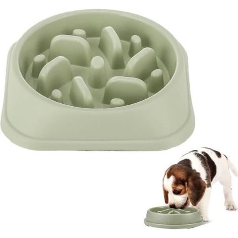 Gamelle Anti Glouton pour Chien et Chat - Favorise la Digestion Lente - Vert - Petits/Moyens (1/4)