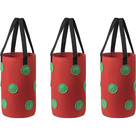 Lot de 3 sacs de culture suspendus en feutre multifonctions à 12 trous pour tomates, légumes et fleurs. (1/5)