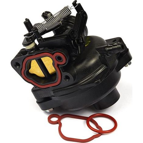 Garden Future799584 798675 59236 593260 550ex 625ex 675ex carburateur (1/5)
