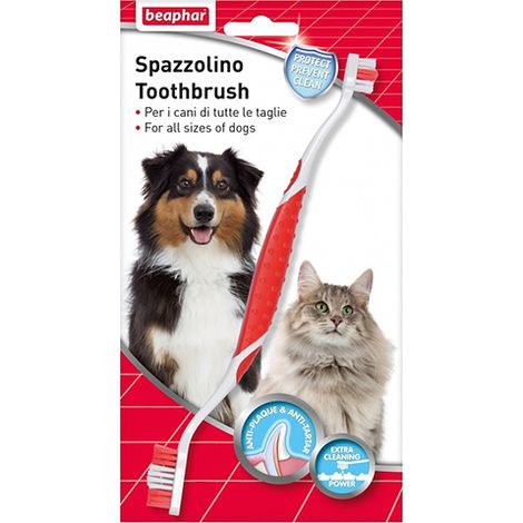 Badigeon dentaire de Beharphar pour animaux de compagnie