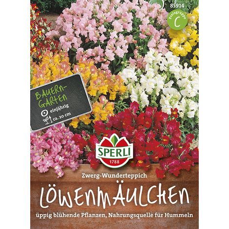 Sperli Löwenmäulchen Zwerg-Wunderteppich - Blumensamen (1/2)