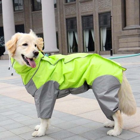 Manteau de pluie imperméable léger pour chien, manteau de pluie avec capuche et jambes, couverture complète, poncho pour chiens femelles de taille moyenne et grande (26) (taille XL) (1/5)