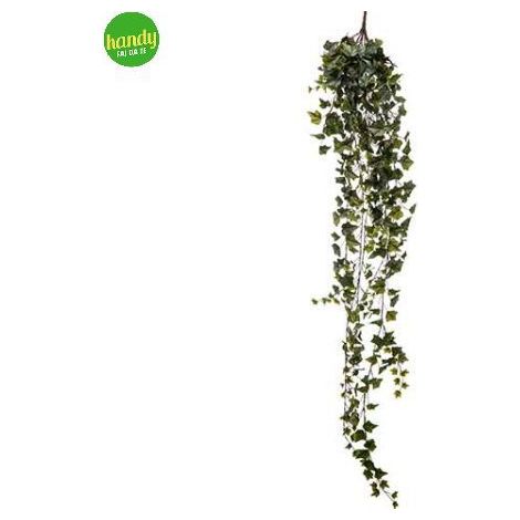 Pendente edera Arpimex 423 foglie cm180