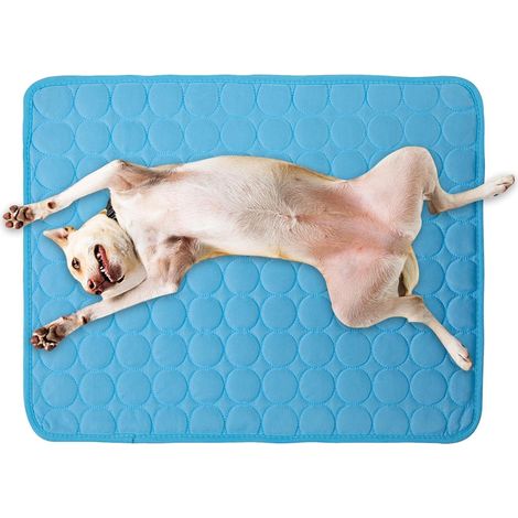 Tapis De Rafraîchissement Pour Chiens Tapis de Refroidissement Imperméable  Canapés pour Animaux pour Voyage Camping Bureaux Maison Salon Voiture Chambre Jardin (1/5)