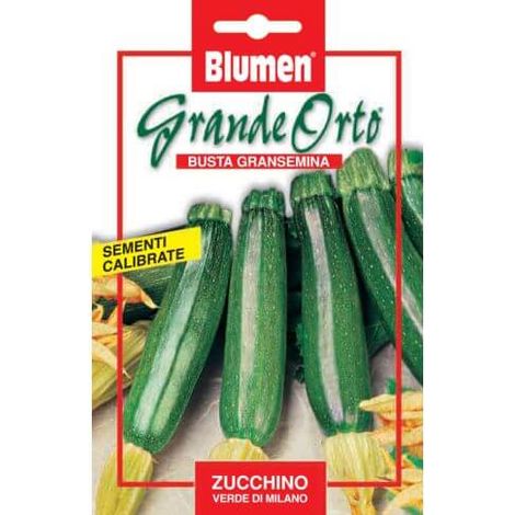 SEMI ZUCCHINO VERDE DI MILANO