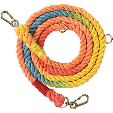 Laisse de course tressée pour chien – Motif arc-en-ciel – Accessoires dorés – Longueur 210 cm (1/4)