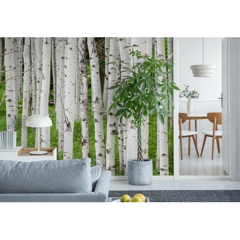 Papier Peint Forêt - Tronc de Bouleaux Blancs - 150 x 250 cm (1/2)
