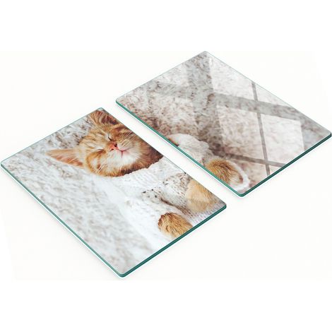 Tableaux en verre résistants et élégants à motif de pull pour chatons 2x40x52 cm (1/5)