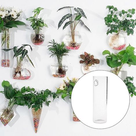 Vase/jardinière murale en verre pour plantes, terrarium, décoration pour la maison et le jardin (1/4)