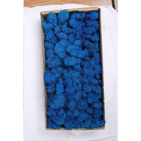 Décoration murale en mousse préservée. Véritable mousse préservée. Aucun entretien requis. Mousse naturellement préservée - Bleu bijou. (1/5)