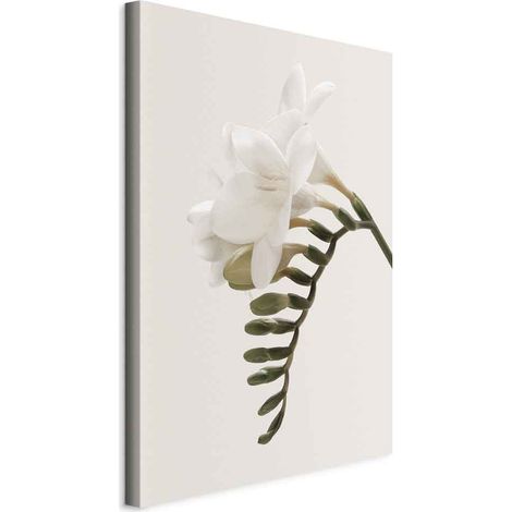 Pintura - Pluma de primavera (1 parte) vertical (1/5)