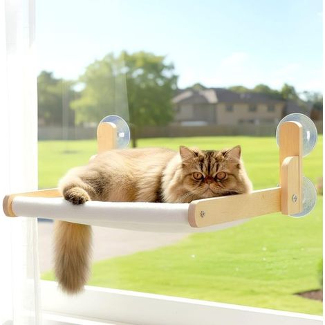 Hamac pliable en peluche pour chat, fixation par ventouse, structure d'escalade en bois massif (support en bois), marron (1/5)