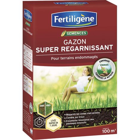Gazon Reparation Semences Gazon Super Regarnissant 2 kg Pousses en 1 semaine Regarnit les zones abîmées et comble les trous résistance piétinements Pour 100 m² (1/5)
