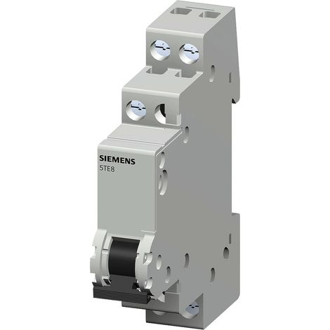 Siemens Interruptor de control 20A 1S 1 lámpara 230V, 5TE8101