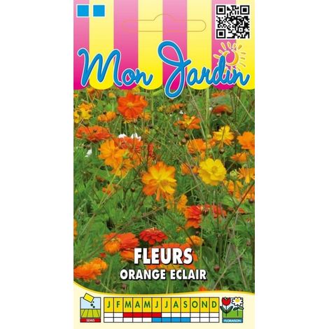 Fleurs Orange Eclair - 3g