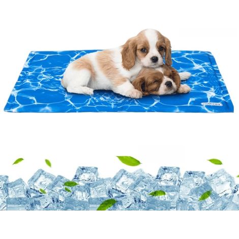 Tapis de refroidissement pour chien 4050CM (1/5)