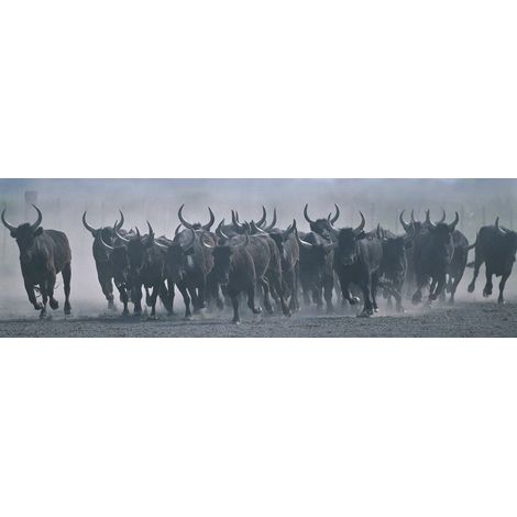 Tableau sur toile taureaux Camargue 30x97 cm - Impression sur Toile Murale Décorative - Image imprimée en HD sur Toile - Toile sur Châssis en Bois FSC - Fabriqué en France (1/4)