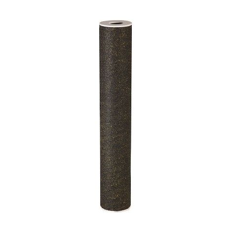 Orion – Cartouche de filtration charbon actif 10 microns – Pour centrale PROTEO 2 – Remplacement annuel pour qualité d'eau optimale