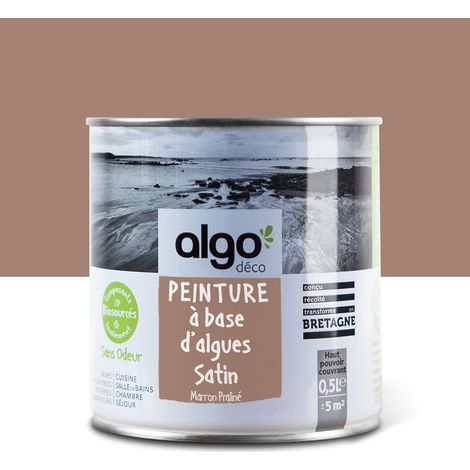 Peinture écologique Algo - Satin - Marron Praliné - 0.5L (1/5)