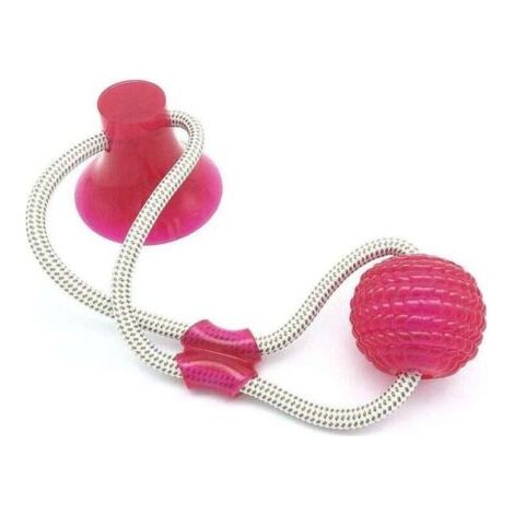 QORVA-Jouet molaire multifonction pour animaux de compagnie, balle rebondissante avec ventouse puissante, nettoyage durable des dents (1/2)