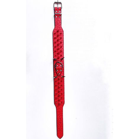 Elegantes und verstellbares Hundehalsband aus PU-Leder mit Nieten, rot, für mittelgroße und große Hunde. (1/5)