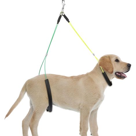 Hundefrisiertisch, Seilpflegeleine, Halsband aus Stahldraht