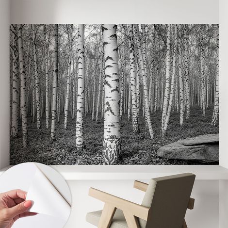 Papier peint autocollant décoratif à motifs pour salon chambre et bureau Tapete adhésif pour décoration Forêt de bouleaux 104x70 cm (1/5)