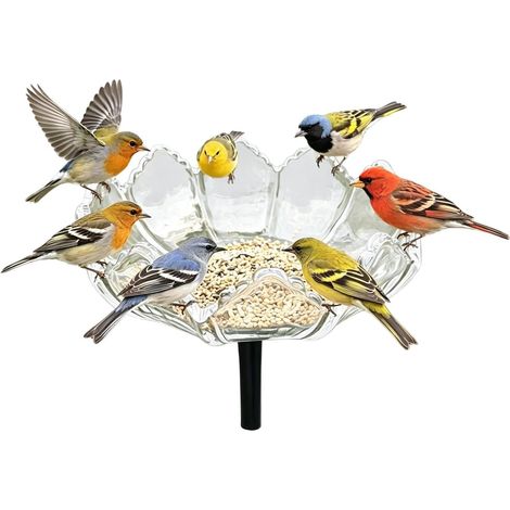 Mangeoire À Oiseaux Piquet Nourrisseur en Verre pour Oiseaux Mangeoires d'Extérieur pour Colibris Convient Pour Patio, Pelouse, Cour Arrière, Balcon, Parc, Porche, Deck, Terrasse (1/5)