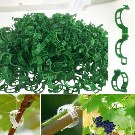 (150, Vert) Plant Support Clips de Jardin Tomate Clips Support, Clips de Support pour Plantes de Jardin Clips pour Les légumes Tomate Vigne tiges de Croissance Droit et Plus Sain (1/5)