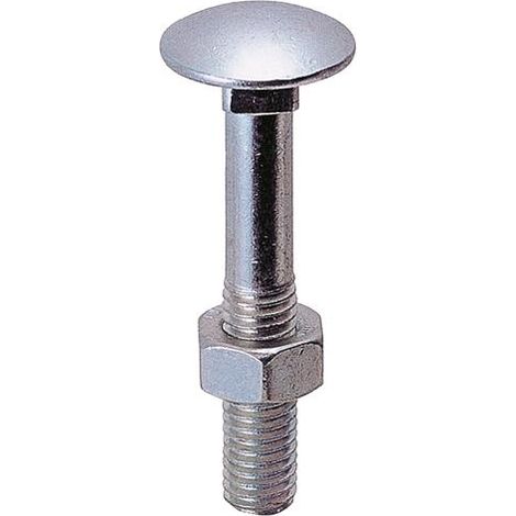 Q.TA' 100 BULLONE P/FERRO E LEGNO TTQS  6X120MM ZINCATO UNI5732