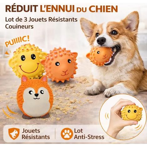 Jouet Chien Anti Ennui – Lot de 3 Balles Résistantes pour Chiens Actifs, Jouets à Mâcher pour Réduire Stress et Aboiements (1/5)