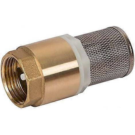1-Zoll-Rückschlagventil aus Messing, Rückschlagventil für Luftpumpe und Einlassfilter (1 Stück)