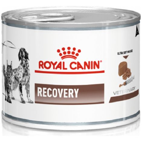Vdiet cat/dog recovery  b/195 g (1/3)
