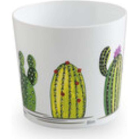 CACHEPOT MAYA 11,5CM  CACTUS